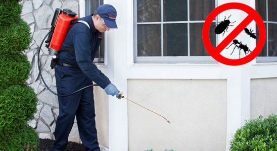 Kayapınar Böcek İlaçlama böcek ilaçlama ve haşere kontrolü — ilaclama-tr.com